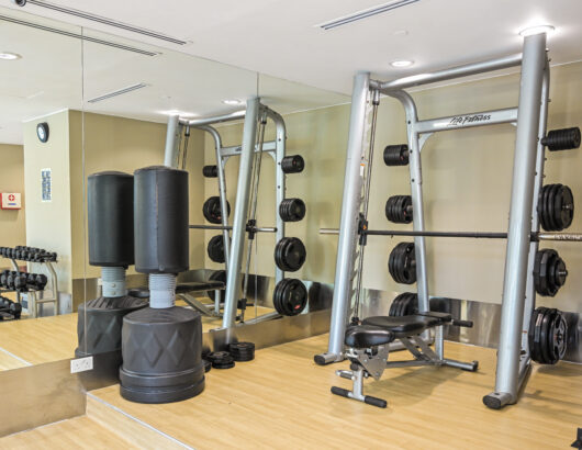 Punching bag and dumbell rack in the Park Regis Singapore fitness center